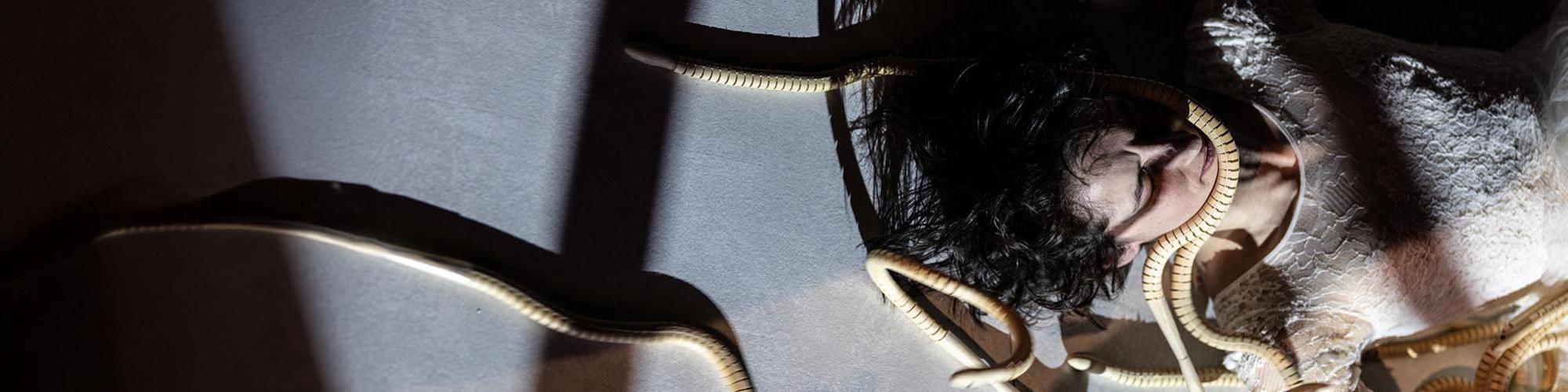 Orpheus und Eurydike-c5053d