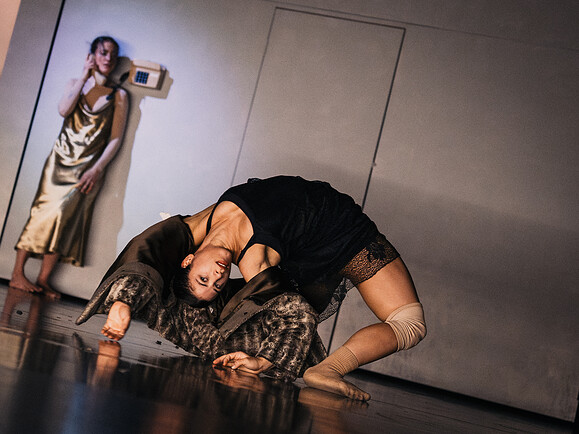 Phoeni-Effect-d2e419